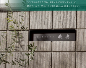 MODEST MDS-3 - 画像 (2)