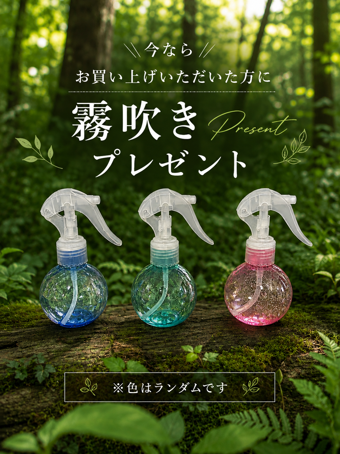 パリー トランカータ ハンティントン - 画像 (5)